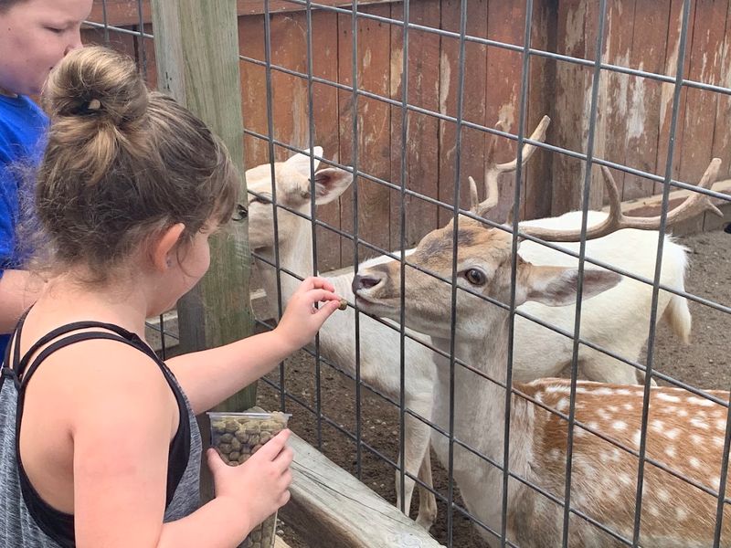 Feed More Than Just Flamingos During Your Visit