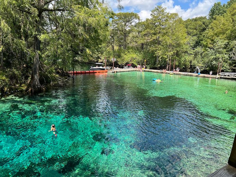 Fanning Springs State Park - Fanning Springs
