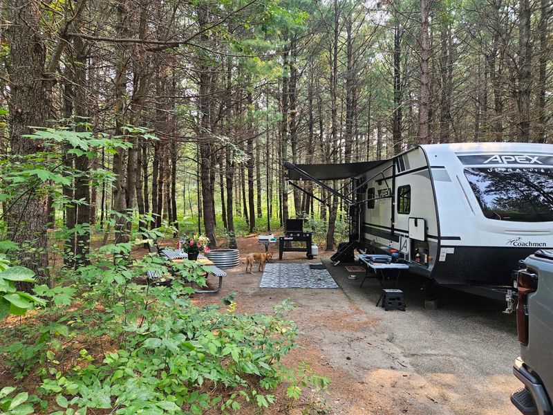 Hartwick Pines State Park