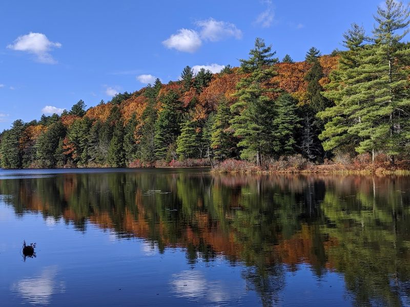 Bigelow Hollow State Park