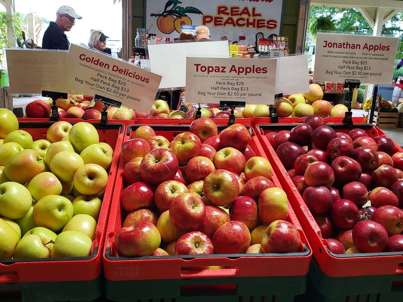 Branstool Orchards - Utica, Licking County