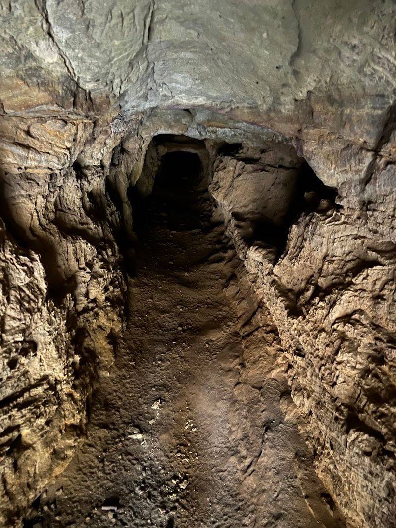 Wildcat Cave Access