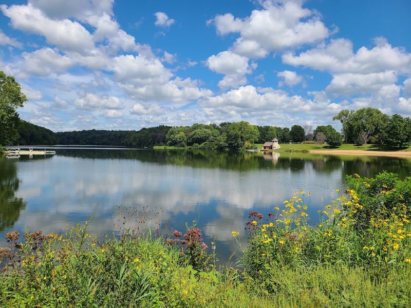 Backbone State Park Wildlife Area - Dundee, Delaware County