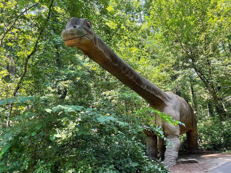 Museum of Life and Science - Durham