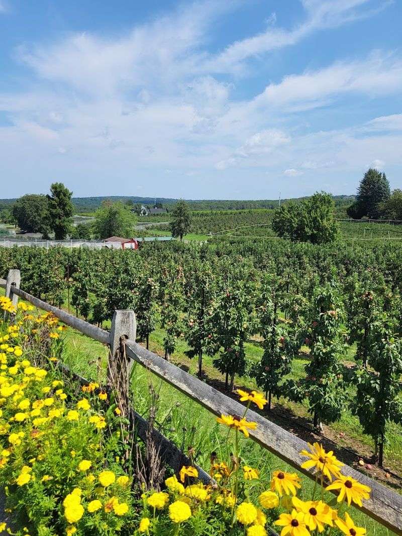 Belltown Hill Orchards - South Glastonbury, Hartford County