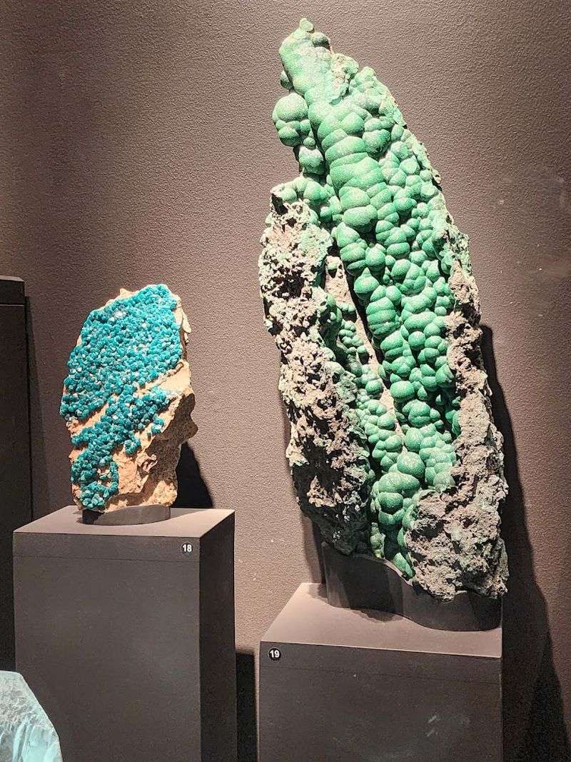 Bruce Museum