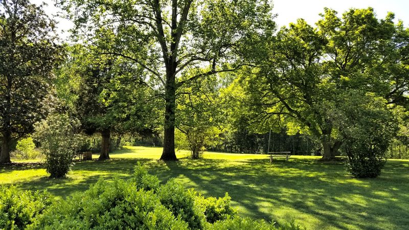 Caledon State Park - King George, King George County