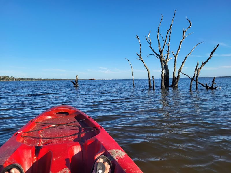 False Cape State Park Water Trail