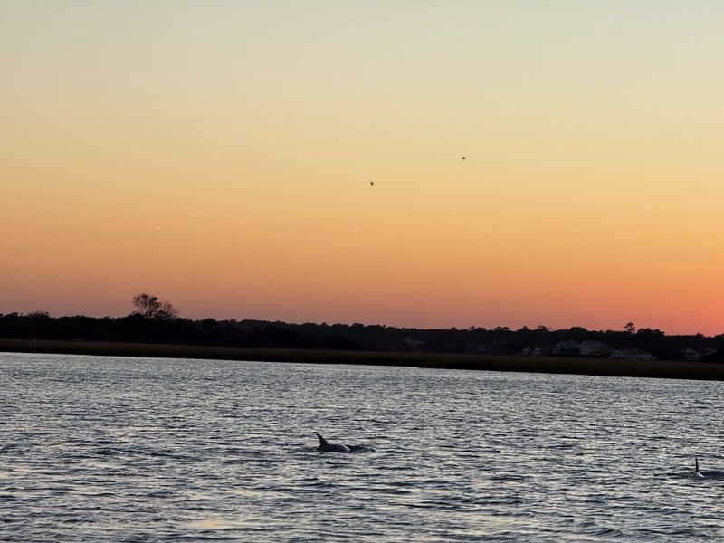 Dolphin Sunset Cruise: Watch Wrightsville Beach Glow At Golden Hour