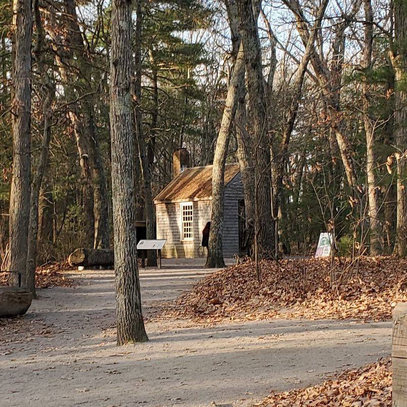 The Legend of Thoreau's Cabin
