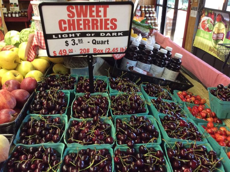 Bauman Orchards - Rittman, Wayne County