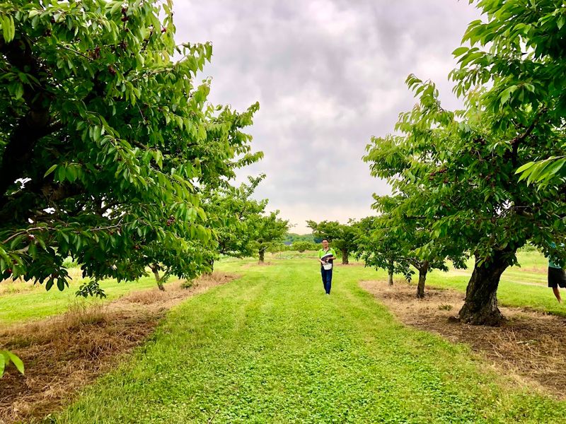 Century Farms Orchard - Amherst, Lorain County