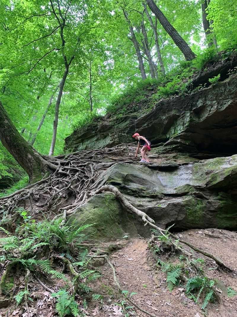 A Peaceful Outdoor Escape With Hiking, Picnicking, And Primitive Camping