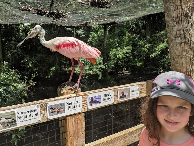 Ellie Schiller Homosassa Springs Wildlife State Park (Homosassa)