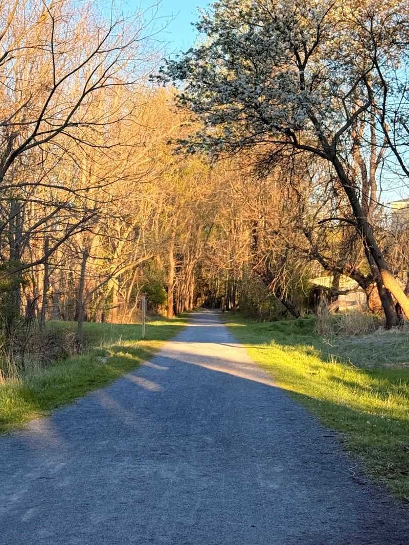 Seventeen Miles Of Damascus-To-Abingdon Scenic Wonder