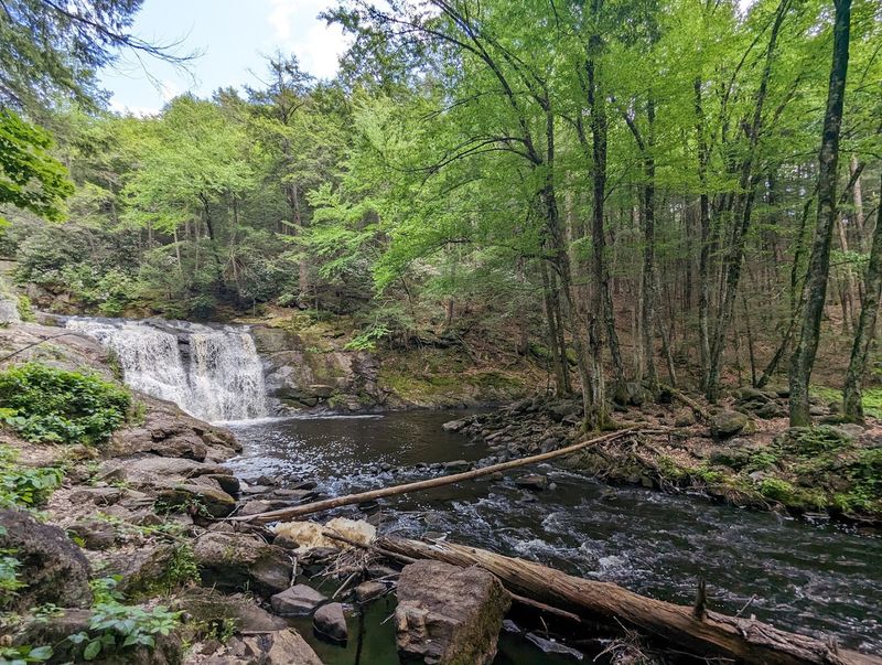 The Lower Section Feels Wild And Peaceful