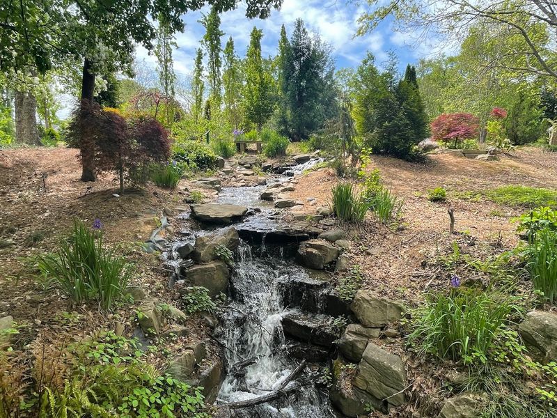 Hatcher Garden and Woodland Preserve - Spartanburg, Spartanburg County
