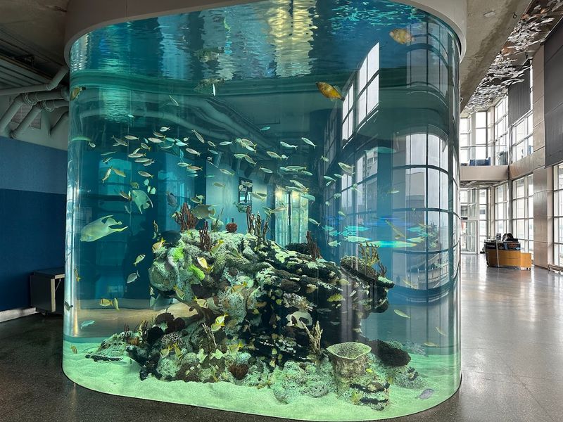 South Carolina Aquarium - Charleston, Charleston County