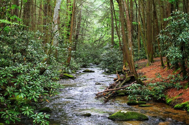 Long Creek Falls Trail &ndash; Appalachian Trail