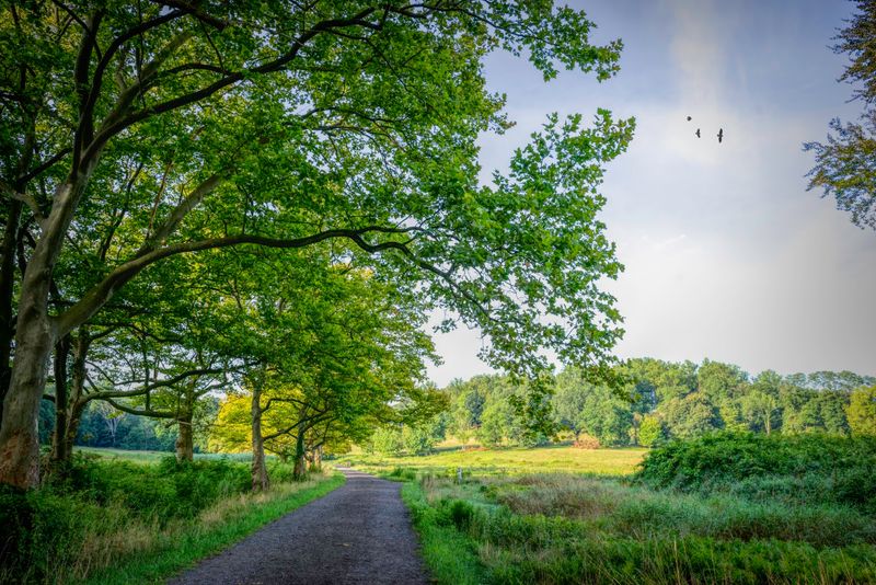 Rockefeller State Park Preserve - Pleasantville, Westchester County