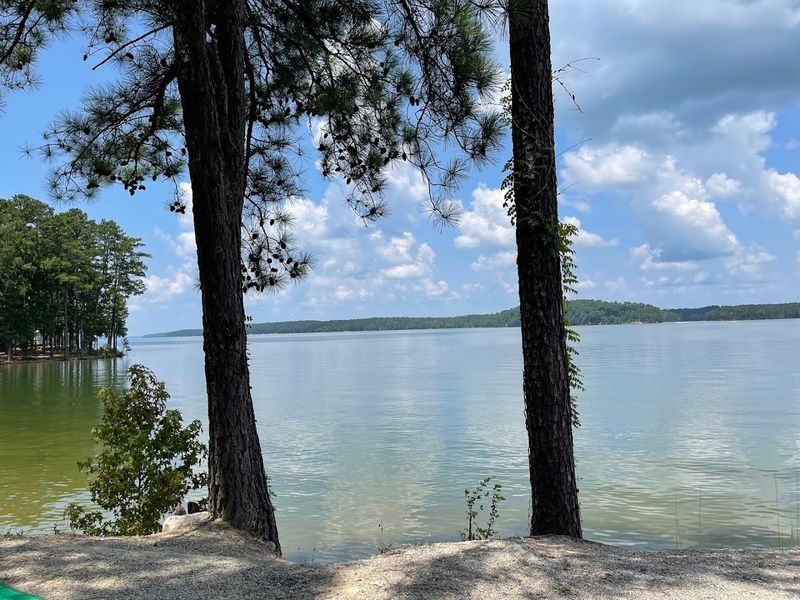 Elijah Clark State Park Beach - Lincolnton