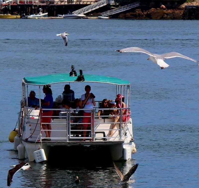 Cape Ann Harbor Tours