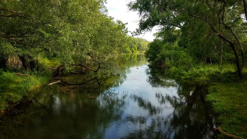 Tifft Nature Preserve, Buffalo, Erie County