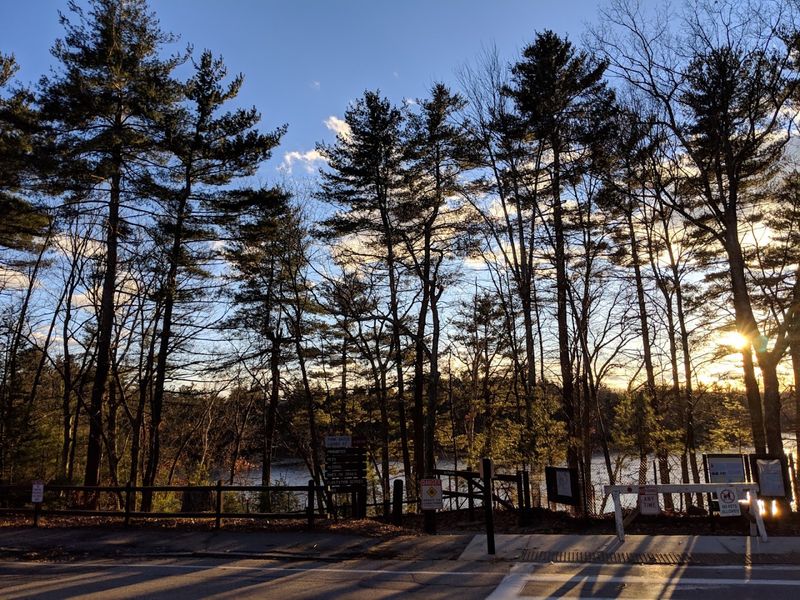 Walden Pond - Concord, Middlesex County