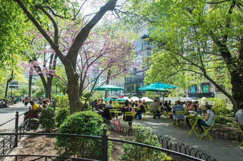 Food, Benches, And The Art Of People Watching