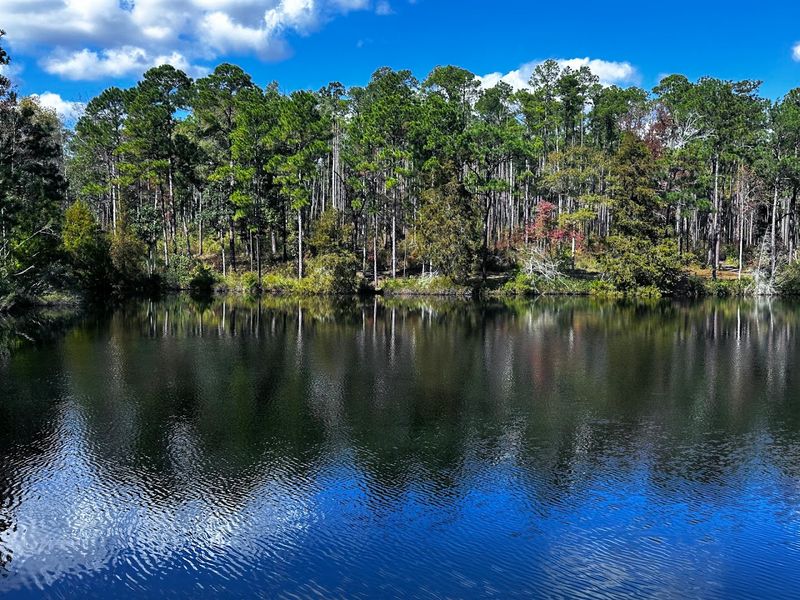 Cool Off at Turtle Lake