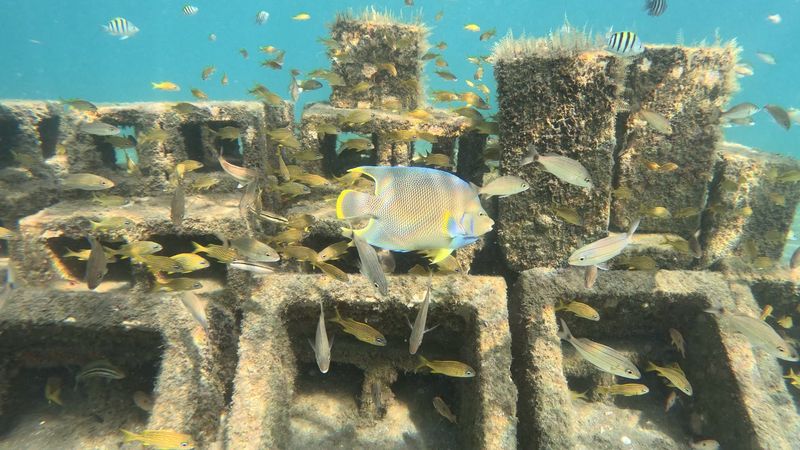 How to Enjoy the Trail Responsibly and Protect Marine Life