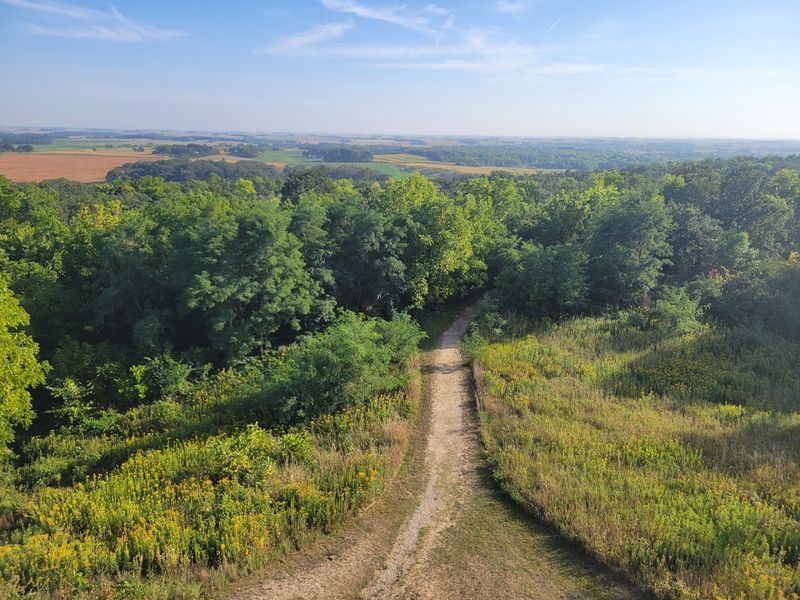 Trails That Wind Through Time