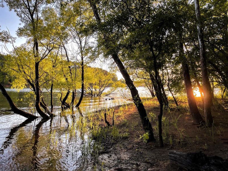 Kerr Lake State Recreation Area - Henderson, Vance County