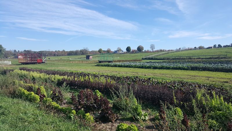 Liberty Stables &mdash; Liberty, New York