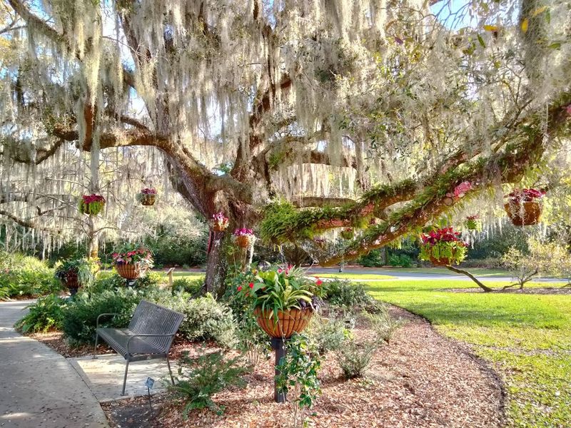 Harry P. Leu Gardens