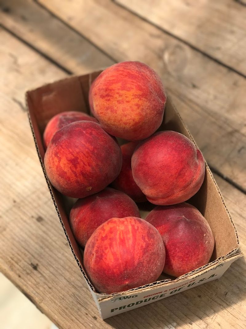 Yeager's Farm & Market (Phoenixville)