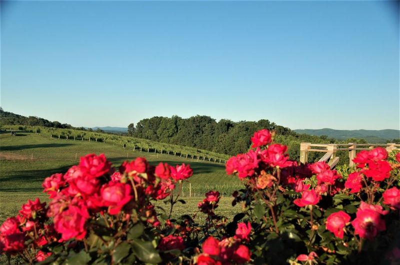 Yadkin Valley Scenic Byway
