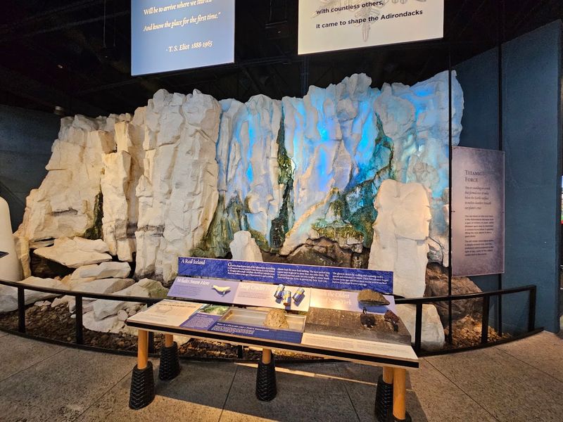 The Wild Center (Indoor Natural History Exhibits) - Tupper Lake