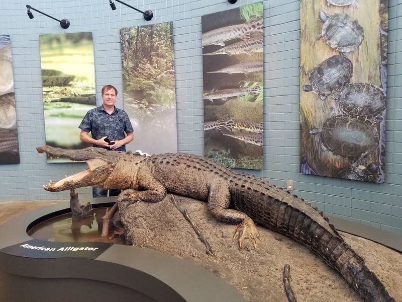 North Carolina Aquarium at Fort Fisher — Kure Beach