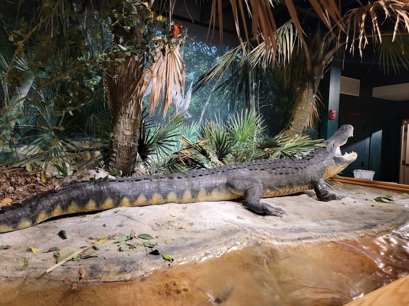 The Bishop Museum of Science and Nature - Bradenton