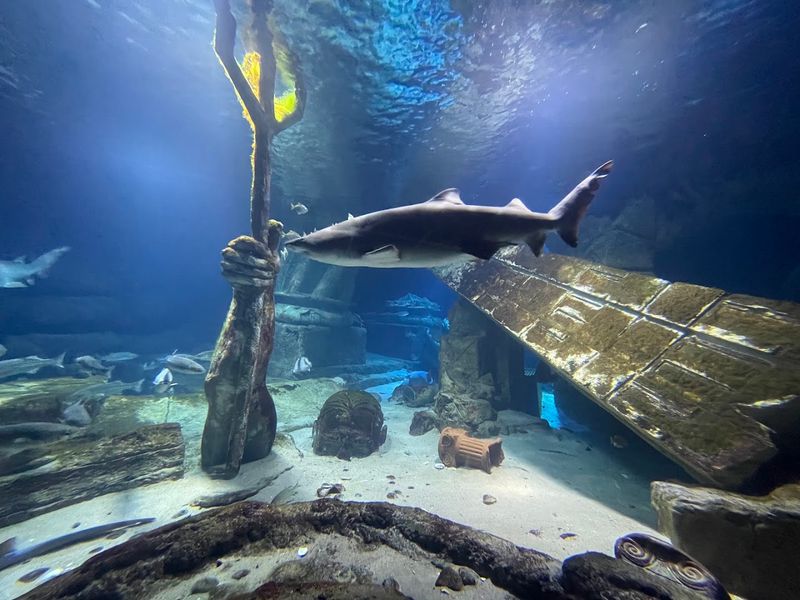 Long Island Aquarium - Riverhead