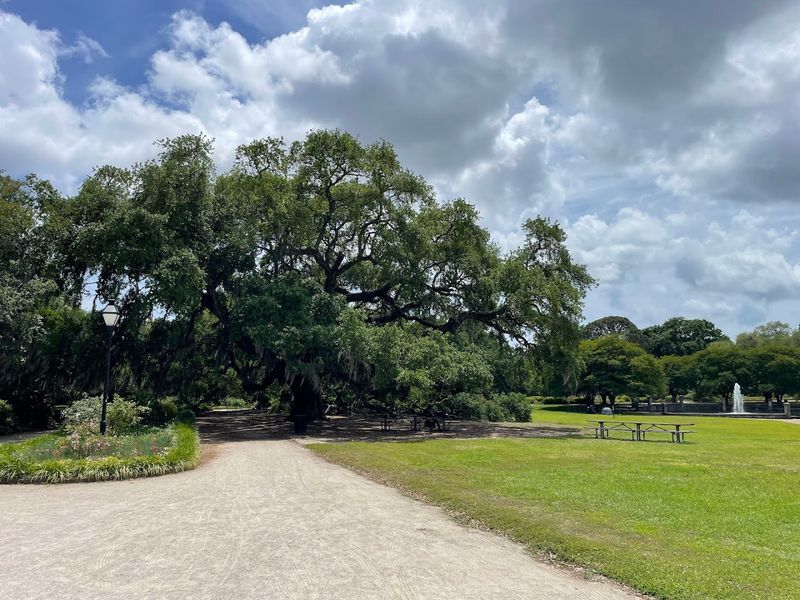 Piccolo Spoleto Outdoor Concerts - Hampton Park & other outdoor venues, Charleston