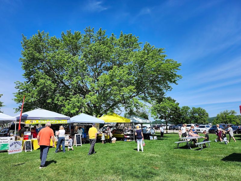 Boyne City Farmers Market 