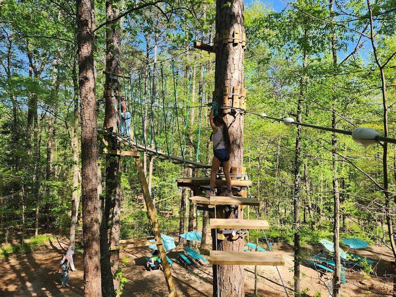 Treetop Quest Dunwoody Adventure Park and Ziplines