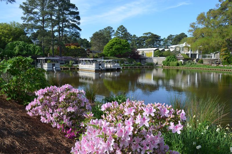 Norfolk Botanical Garden - Norfolk