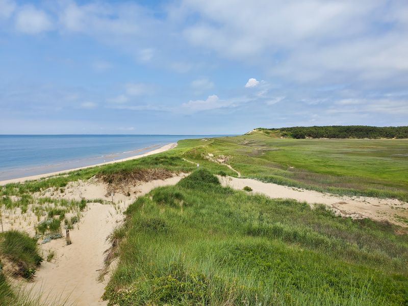 Great Island Trail (Wellfleet)