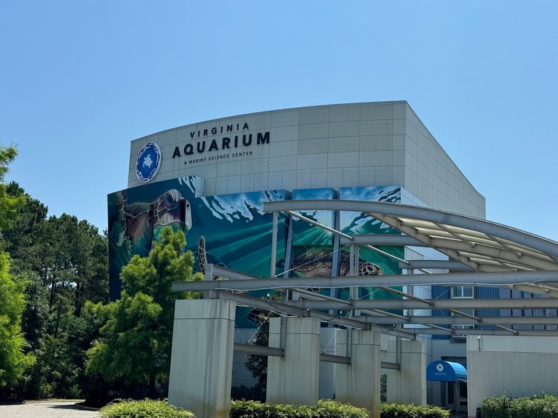 Virginia Aquarium & Marine Science Center - Virginia Beach