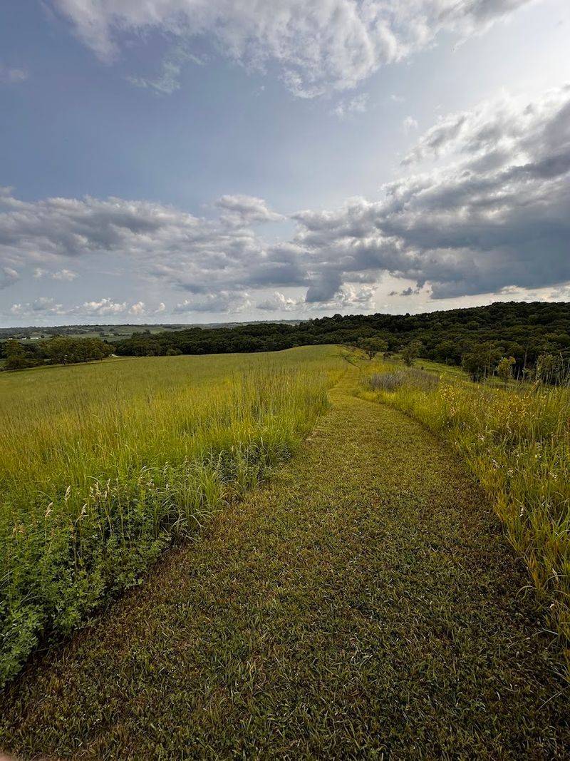 Forest Meets Prairie in Dramatic Contrast