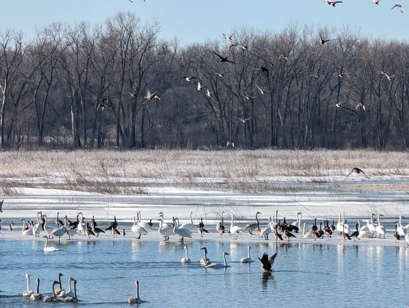 DeSoto National Wildlife Refuge
