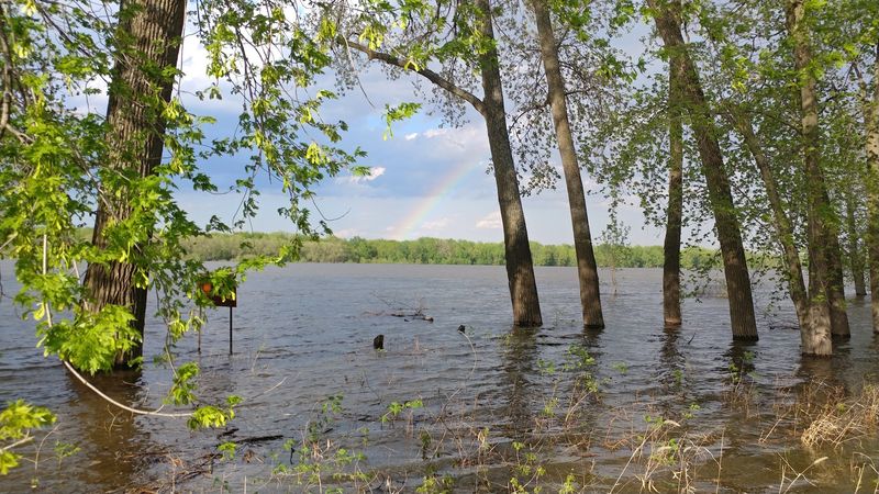 Port Louisa National Wildlife Refuge (Wapello & Louisa Counties)